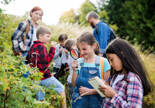 Exploring Scholarship Opportunities for Recreational Programs in Southeastern Mississippi